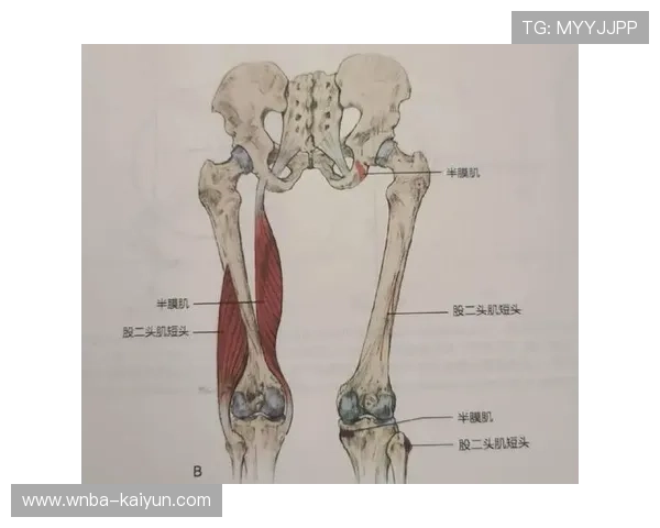 阿诺德左腿股四头肌股直肌损伤，将缺席约两个月关键战役